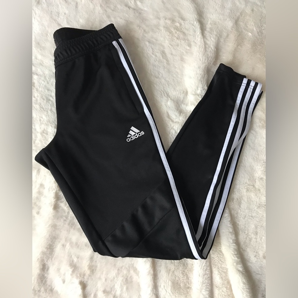 Adidas Tiro 19 Track Pant